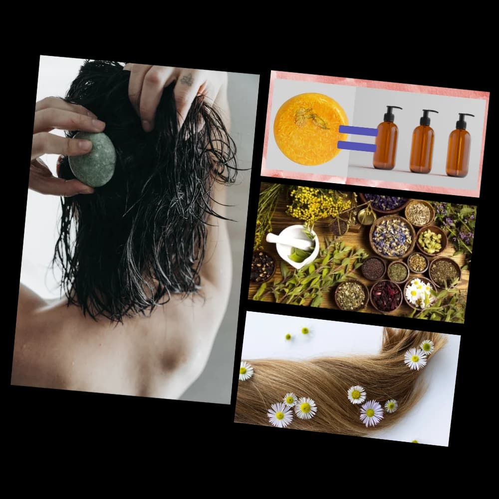 Parwin shampoo bars